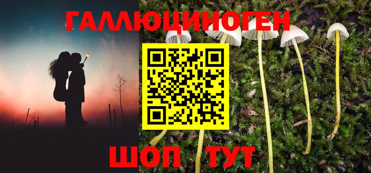 Галлюциногенные грибы Magic Shrooms Кызыл