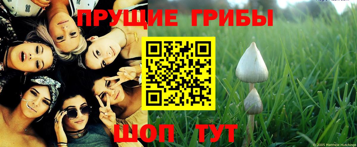 Псилоцибиновые грибы Magic Shrooms  Вход с VPN  Кызыл 